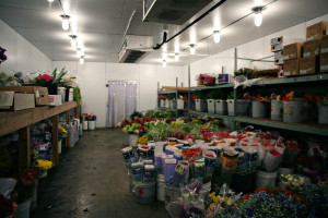 floral refrigerator