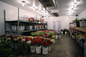 floral refrigerator