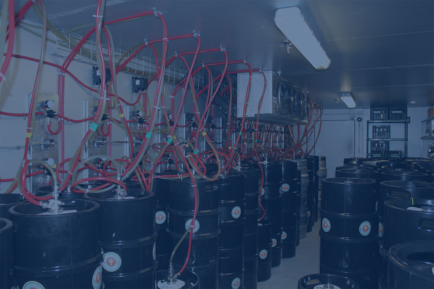 Bigger Cold Storage for Bigger Needs: Brew Cave® Refrigerated Warehouses